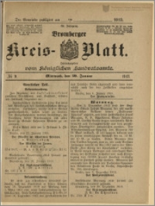 Bromberger Kreis-Blatt, 1913, nr 9