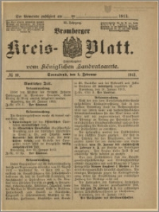 Bromberger Kreis-Blatt, 1913, nr 10