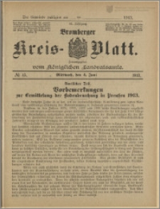 Bromberger Kreis-Blatt, 1913, nr 45