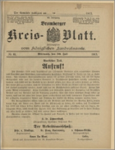 Bromberger Kreis-Blatt, 1913, nr 61