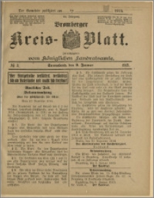 Bromberger Kreis-Blatt, 1915, nr 3