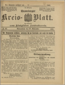 Bromberger Kreis-Blatt, 1915, nr 95