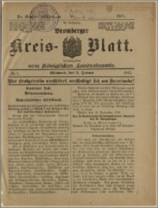Bromberger Kreis-Blatt, 1917, nr 1