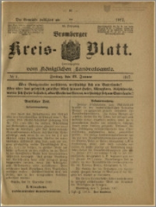 Bromberger Kreis-Blatt, 1917, nr 4