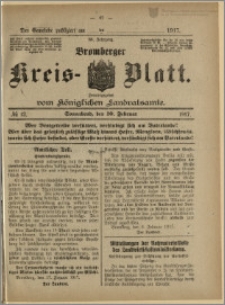 Bromberger Kreis-Blatt, 1917, nr 12