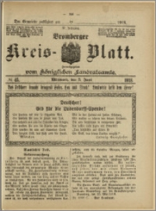 Bromberger Kreis-Blatt, 1918, nr 45