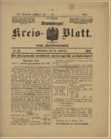 Bromberger Kreis-Blatt, 1919, nr 13
