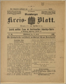 Bromberger Kreis-Blatt, 1919, nr 45