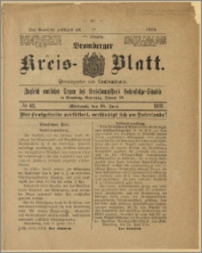 Bromberger Kreis-Blatt, 1919, nr 49