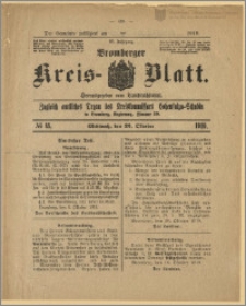 Bromberger Kreis-Blatt, 1919, nr 85