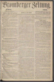 Bromberger Zeitung, 1864, nr 251