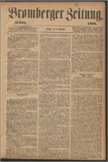 Bromberger Zeitung, 1865, nr 258