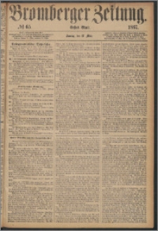 Bromberger Zeitung, 1867, nr 65
