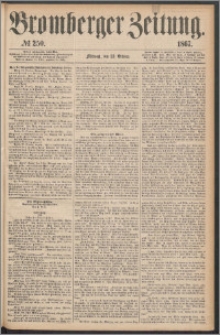 Bromberger Zeitung, 1867, nr 250