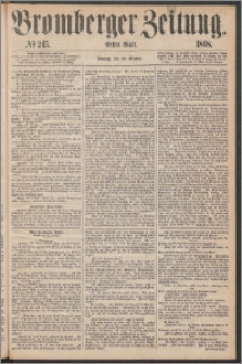 Bromberger Zeitung, 1868, nr 245