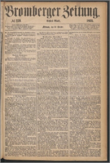 Bromberger Zeitung, 1869, nr 239