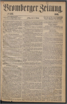 Bromberger Zeitung, 1869, nr 247