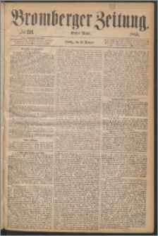 Bromberger Zeitung, 1869, nr 291