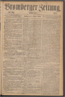 Bromberger Zeitung, 1871, nr 293