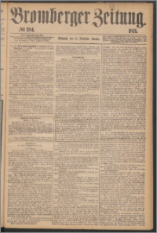 Bromberger Zeitung, 1871, nr 294