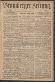 Bromberger Zeitung, 1871, nr 299