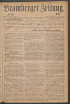Bromberger Zeitung, 1872, nr 229