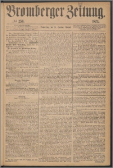 Bromberger Zeitung, 1872, nr 250