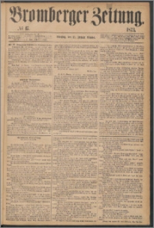 Bromberger Zeitung, 1873, nr 17