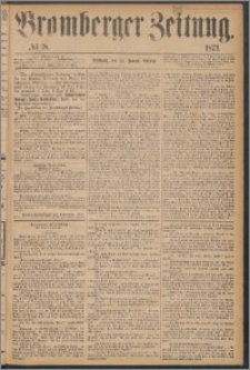 Bromberger Zeitung, 1873, nr 18