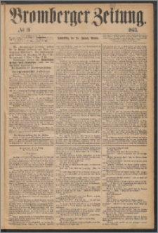 Bromberger Zeitung, 1873, nr 19