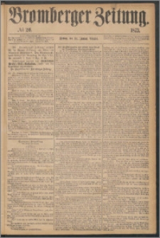 Bromberger Zeitung, 1873, nr 20