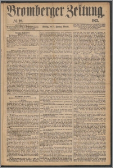 Bromberger Zeitung, 1873, nr 28