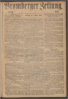 Bromberger Zeitung, 1873, nr 31