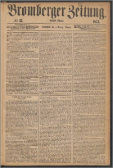 Bromberger Zeitung, 1873, nr 33