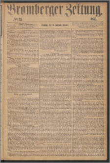Bromberger Zeitung, 1873, nr 35