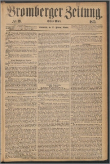 Bromberger Zeitung, 1873, nr 39