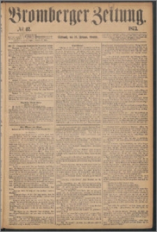 Bromberger Zeitung, 1873, nr 42