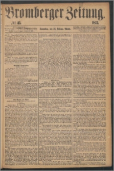 Bromberger Zeitung, 1873, nr 43