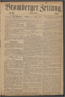 Bromberger Zeitung, 1873, nr 45