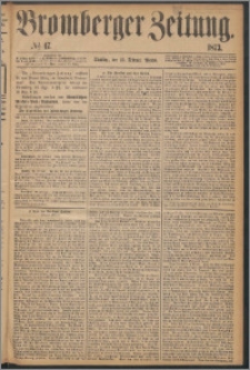 Bromberger Zeitung, 1873, nr 47