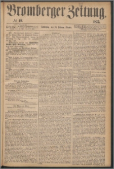 Bromberger Zeitung, 1873, nr 49