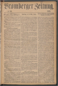 Bromberger Zeitung, 1873, nr 61