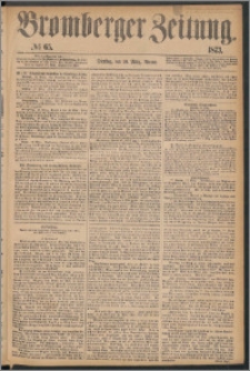 Bromberger Zeitung, 1873, nr 65