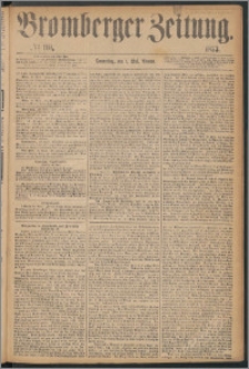 Bromberger Zeitung, 1873, nr 101
