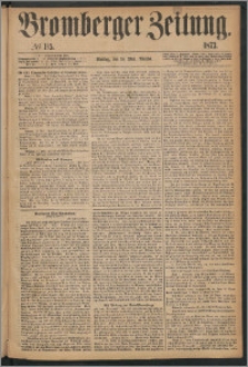 Bromberger Zeitung, 1873, nr 115
