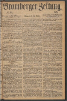 Bromberger Zeitung, 1873, nr 161
