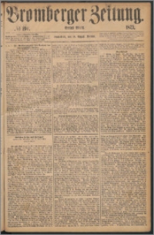 Bromberger Zeitung, 1873, nr 190