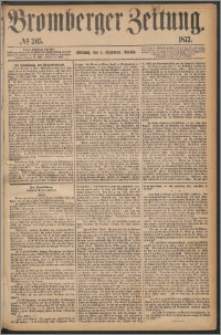 Bromberger Zeitung, 1873, nr 205