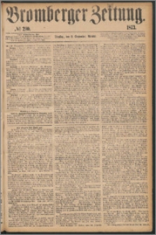 Bromberger Zeitung, 1873, nr 210
