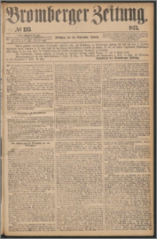 Bromberger Zeitung, 1873, nr 223